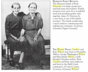 Clipping from "Roan Mountain (Images of America)